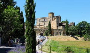 Parmi ses parcours, la Campagne Chastel vous proposent la visite Lourmarin pour découvrir ce village de charme, son château et les domaines viticoles aux alentours