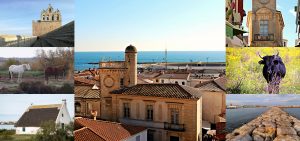À un peu plus d'une heure de la Campagne Chastel, gîte de charme à Aix-en-Provence, la visite Arles Camargue vous guide vers les Saintes-Maries-de-la-mer, célèbre village côtier de la Camargue.