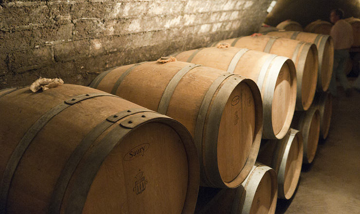 Vignobles